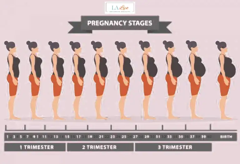 First Trimester (Weeks 1–12): Early Changes You Might Not Notice Leyton